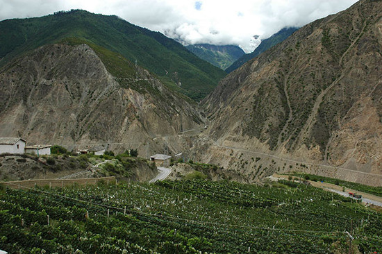 Image: Vineyard in Yunnan, Credit: Li Demei