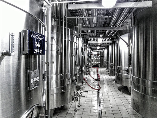 图片：宝禄爵香槟酿酒厂的不锈钢桶，图片版权：Andrew Jefford