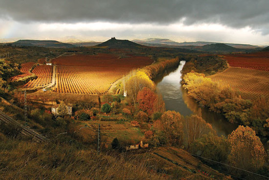 Image: vineyards in Rioja, credit Decanter