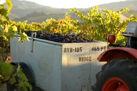 图片：山脊酒庄葡萄园，Decanter版权图片
