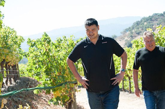 图片：姚明和酿酒师Tom Hinde共同参观纳帕谷赤霞珠葡萄园。 由Avis Mandel为姚氏家族葡萄酒拍摄