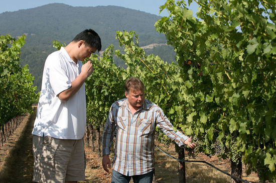 Image: Yao Ming and President Tom Hinde together sampling grapes. Credit: Ed Aiona for Yao Family Wines