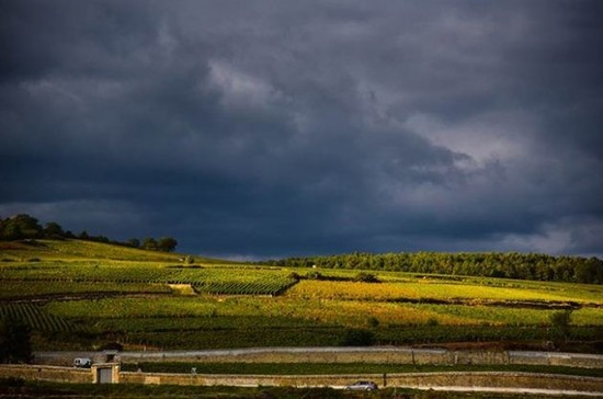 图片：乌云逼近十月的波玛（Pommard）产区。图片拍摄：Gretchen Greer