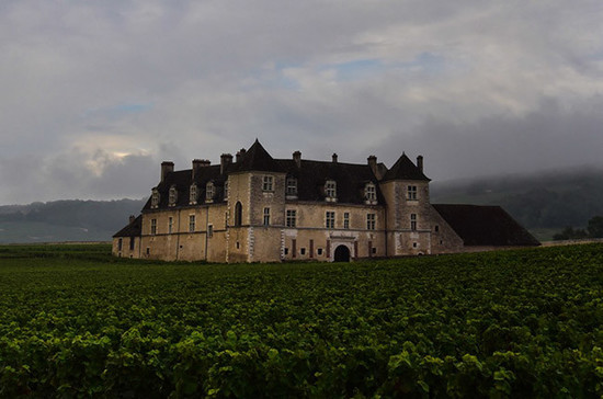 Image: Brooding early October skies over the Clos Vougeot. Credit: Gretchen Greer.