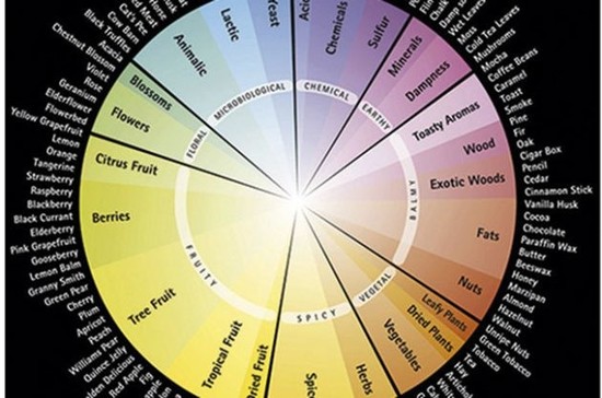 Riedel Aroma Wheel
