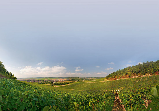 Image: looking towards the town of Chablis from the Vaudésir grand cru – believed to be one of the more underrated climats by producers Louis Michel and William Fèvre, credit Decanter