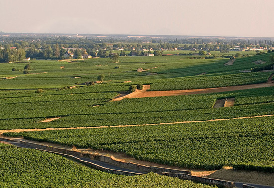 the Bressandes premier cru is located in the northern sector of the Beaune region