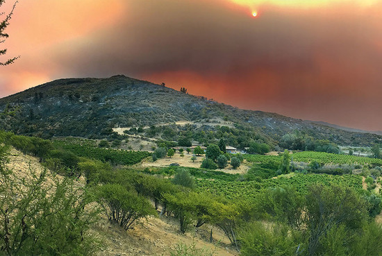 上图：在2017年上半年，由于极端炎热的气候，智利发生的多起森林大火。图中，发生在山脉一侧的火灾发生在马乌莱 ( Maule )干地，恰好在Viña González Bastías酒庄有着200年藤龄的派斯（Pais）葡萄园附近。拍摄者：Daniela Lorenzo Bürger