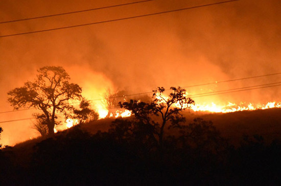 图片：加利福尼亚葡萄酒产区爆发的山火至今已造成11人死亡