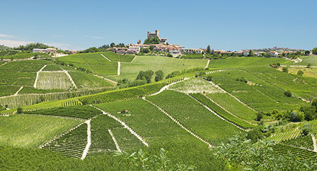 Piemonte, where have you been all my life?