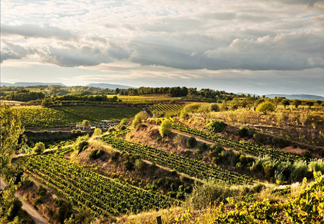 Nine Cava wineries to visit