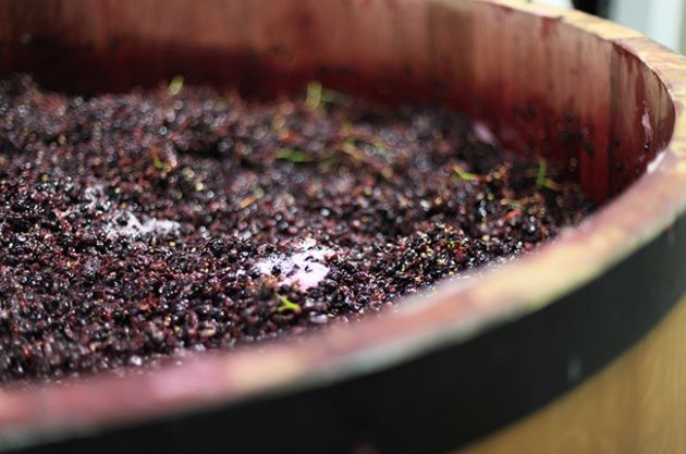 Four new trends in California winemaking