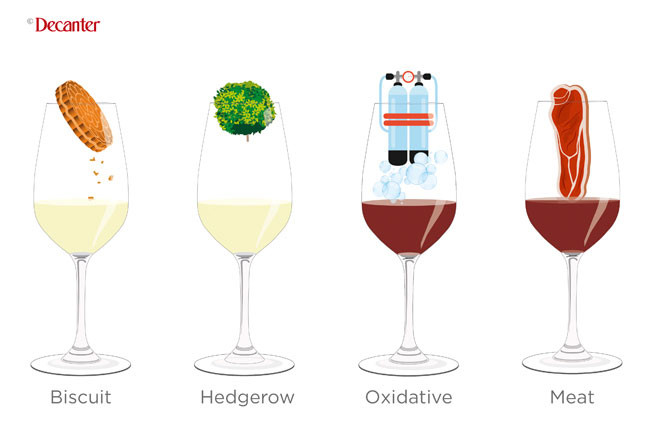 Tasting notes decoded: Oxidative, meat, biscuit and hedgerow