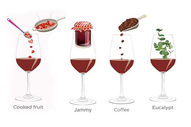 Tasting notes decoded: Cooked fruit, jammy, coffee, eucalyptus