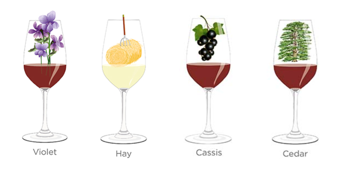 解析那些品酒词们：紫罗兰，干稻草，黑醋栗，雪松