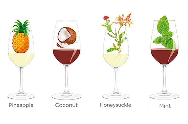 解析那些品酒词们：菠萝，椰子，金银花，薄荷