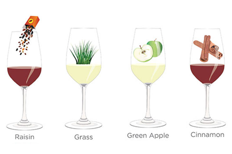 解析那些品酒词们：葡萄干，青草，青苹果，肉桂