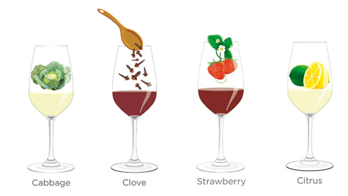 解析那些品酒词们：卷心菜，丁香，草莓，柑橘