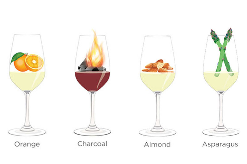 Tasting notes decoded: Orange, charcoal, almond, asparagus
