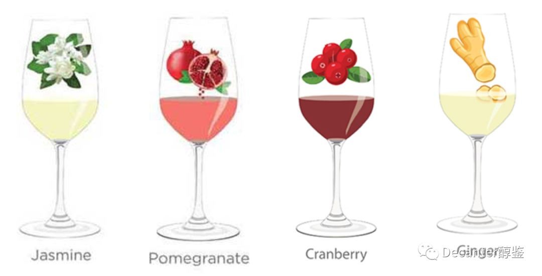 解析那些品酒词们：茉莉，石榴，蔓越莓和生姜