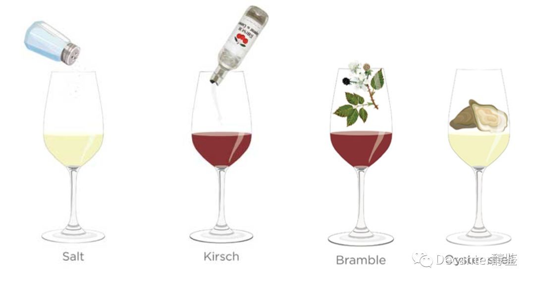 解析那些品酒词们：盐，樱桃白兰地，黑莓树，生蚝壳