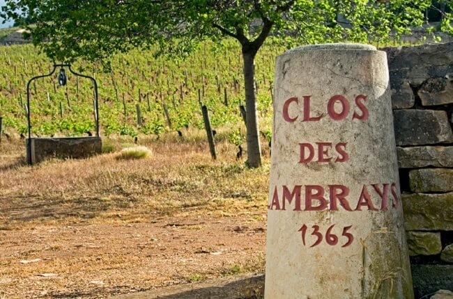 Era of billionaire ownership in Burgundy has begun
