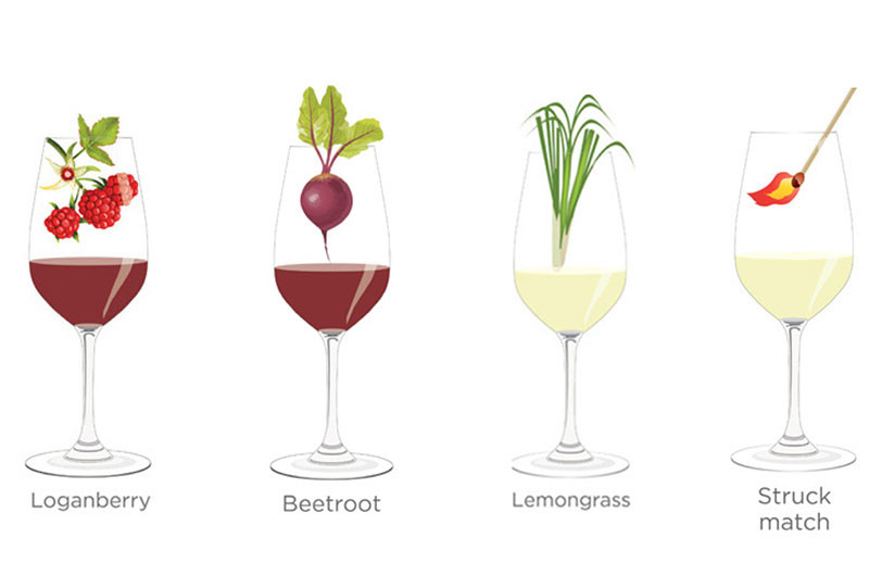 Tasting notes decoded: Loganberry, Beetroot, Lemongrass and Struck match