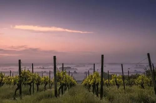 How does diurnal range affect wine? - Ask Decanter