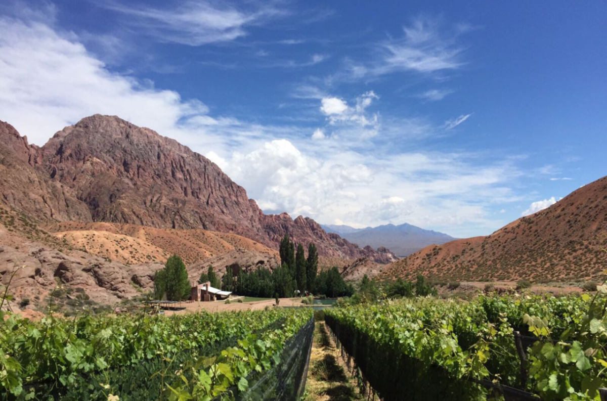 Malbec across the Andes
