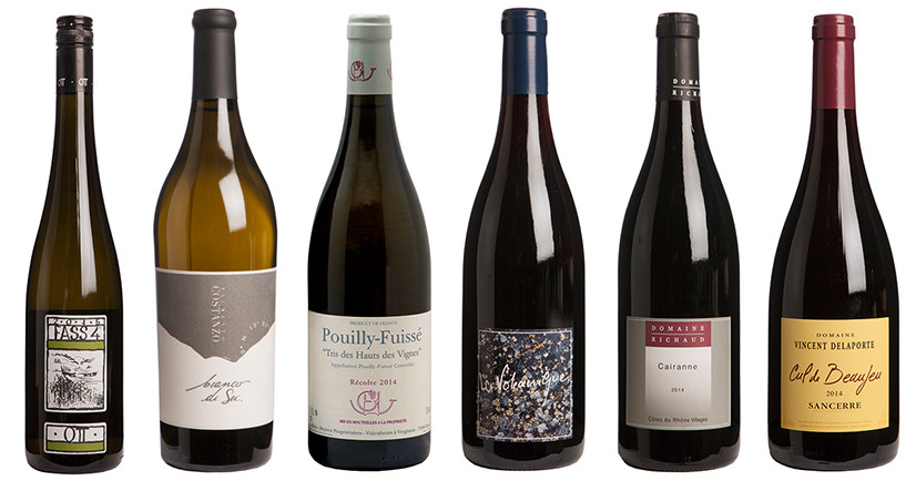 The most exciting dry wines of 2016 - Decanter (Part II)