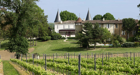 So you want to be a Bordeaux winemaker?