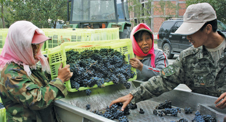 Chinese wine market: how to overcome the barriers