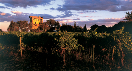 Wine regions in Southern Rhone - Chateauneuf-du-Pape