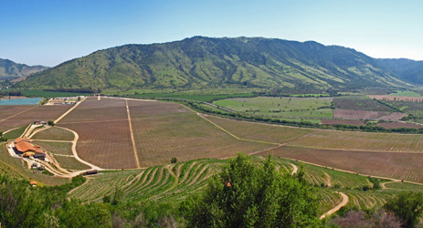 Wine regions (II) - Maipo Valley, Rapel Valley, Curico Valley, Maule Valley and Southern Region