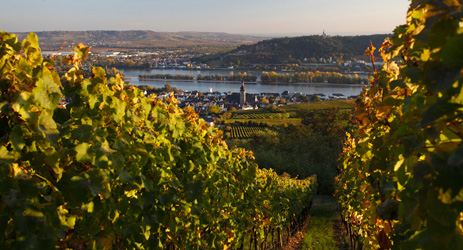 German wine regulations (I) - Geographic Areas
