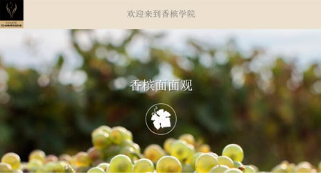 Champagne Council launches online course in Chinese