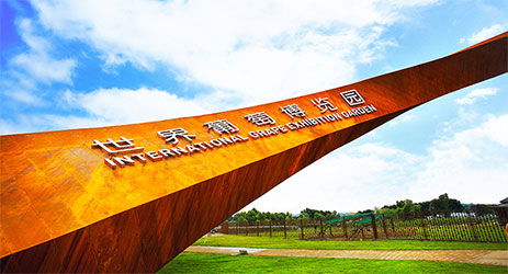 世界葡萄博览园在北京延庆开园