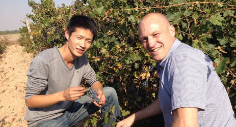 Ningxia expands international winemakers competition