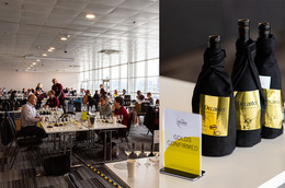 2026 Decanter World Wine Awards: Yunnan claims first Platinum as Ningxia leads China's Gold medal tally
