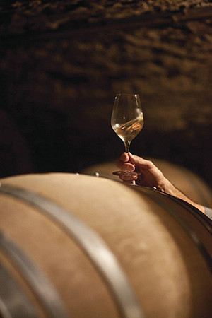 拉都瓦-塞黑尼产区(Ladoix-Serrigny)的Domaine Cornu © BIVB / CITVB