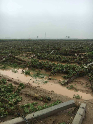 Image: Ningxia floods