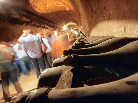 champagne cellar