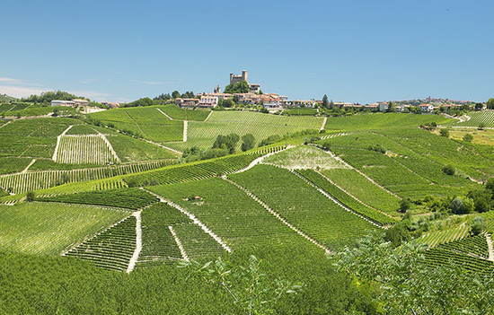 Image: Massolino vineyards, Barolo. Credit: Decanter