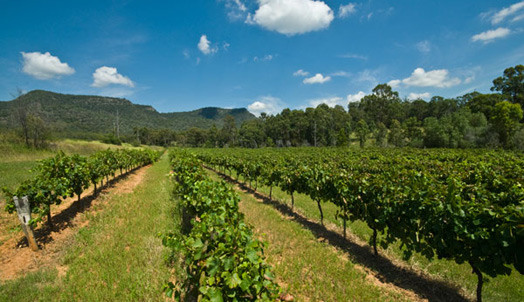 Tyrrells Wines, Hunter Valley