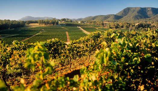 Tyrrell's Wines, Hunter Valley