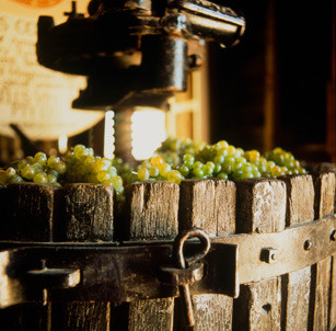 Tyrrell's Wines grape press, Hunter Valley