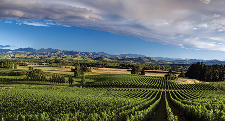 Image: New Zealand, credit Decanter