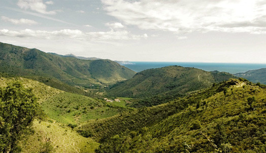 Emporda vies Mas Estela.jpg