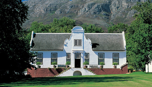 Stellenbosch Vineyard