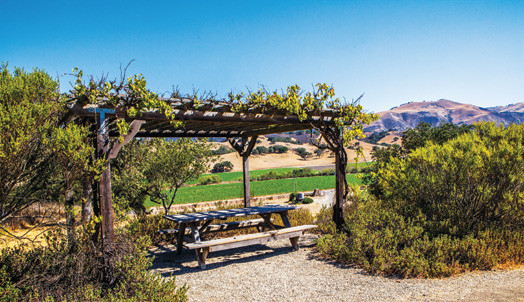 Santa Barbara scenery